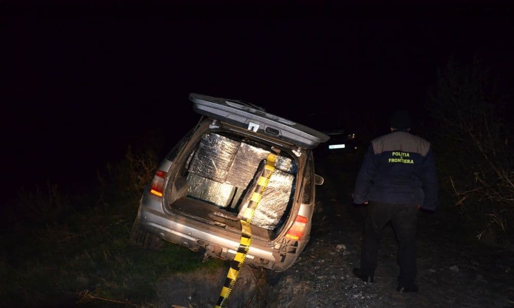 autoturism tigari 02