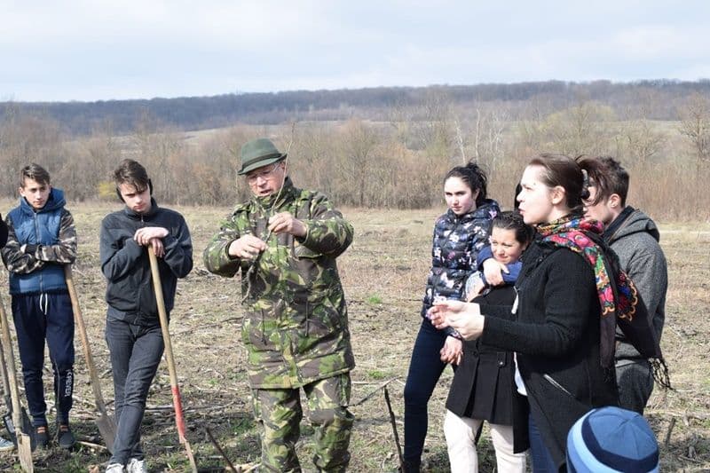 plantare copaci seminar Dorohoi 03