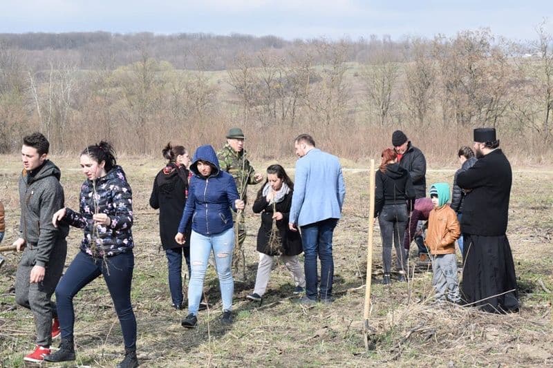 plantare copaci seminar Dorohoi 06