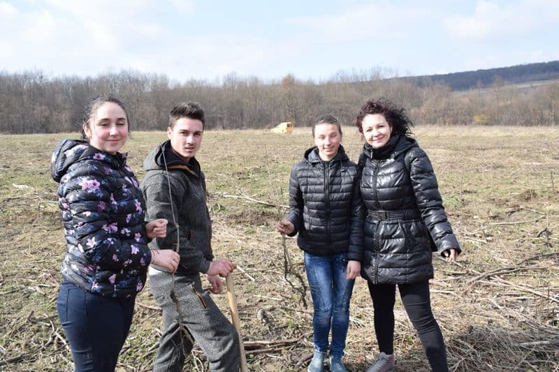 plantare copaci seminar Dorohoi 12