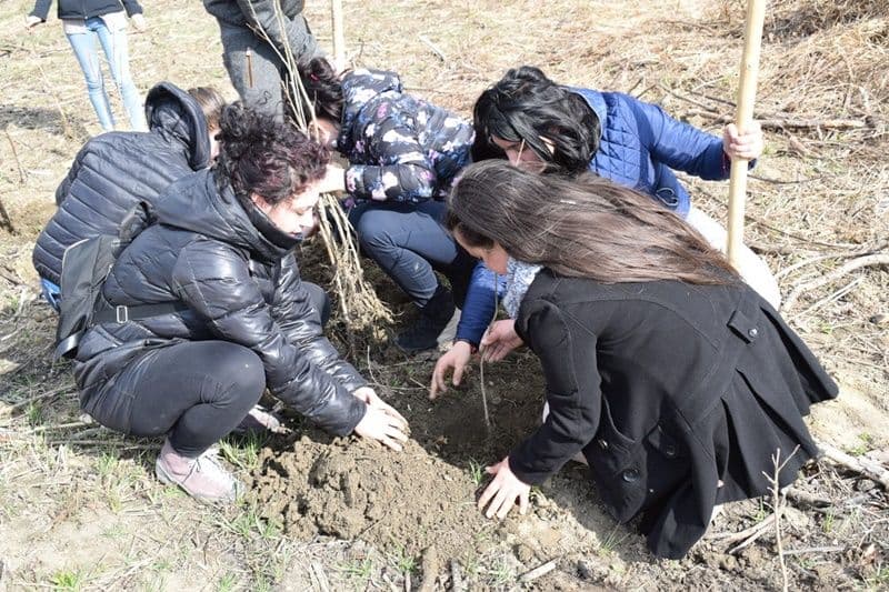 plantare copaci seminar Dorohoi 13
