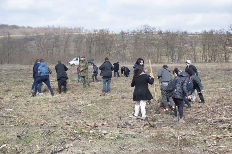 plantare copaci seminar Dorohoi 14