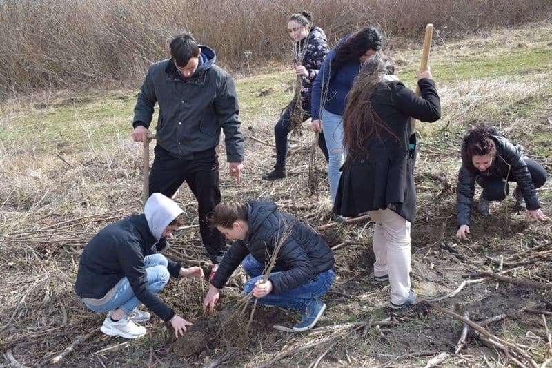 plantare copaci seminar Dorohoi 16