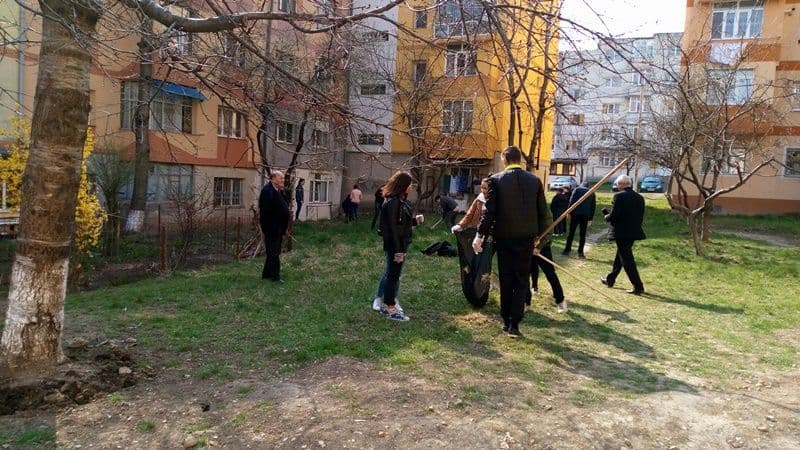 Scoala 8_02