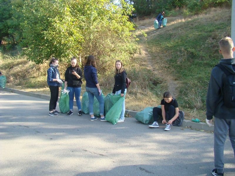 voluntari 03