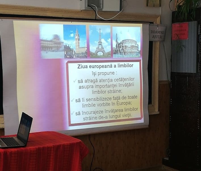 zel broscauti (3)