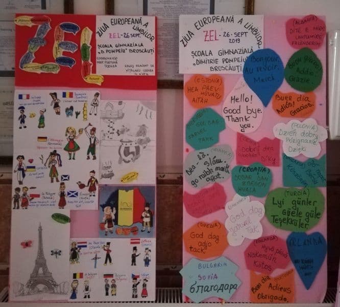 zel broscauti (4)