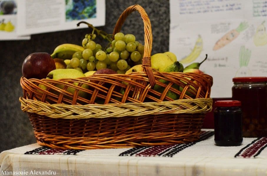 ziua alimentatiei 03