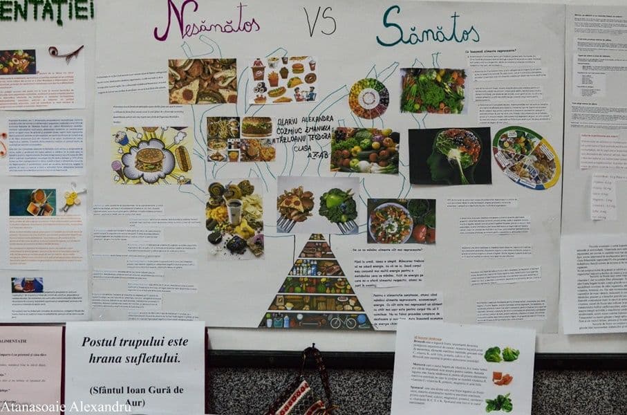 ziua alimentatiei 04