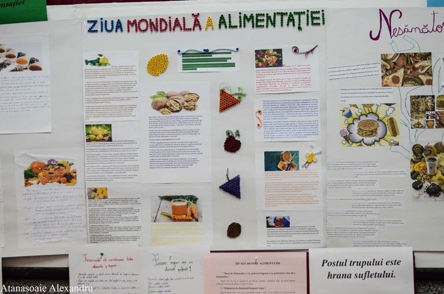 ziua alimentatiei 05