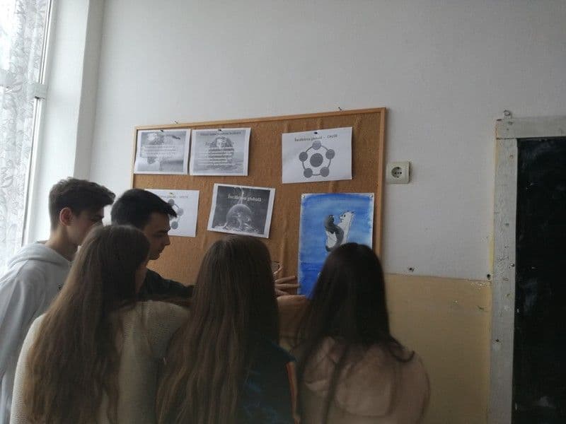 activitate braesti (7)