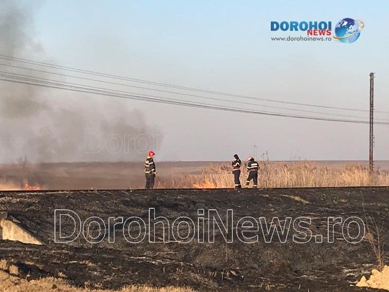 Incendiu vegetatie Dorohoi_01