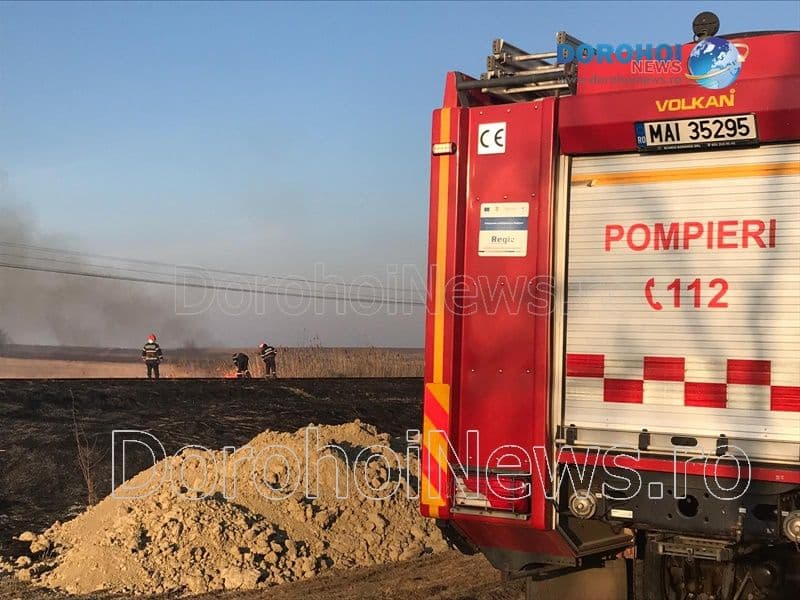 Incendiu vegetatie Dorohoi_02