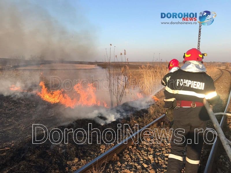 Incendiu vegetatie Dorohoi_04