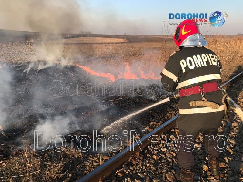 Incendiu vegetatie Dorohoi_05