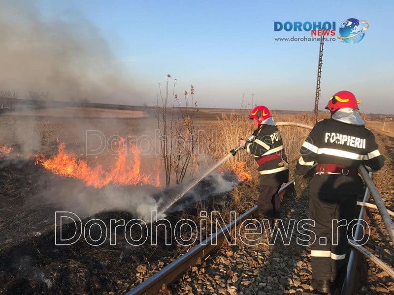 Incendiu vegetatie Dorohoi_06
