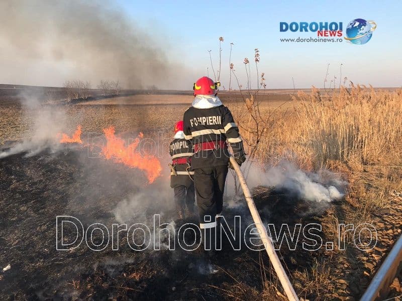 Incendiu vegetatie Dorohoi_07