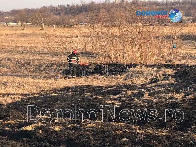 Incendiu vegetatie Dorohoi_11