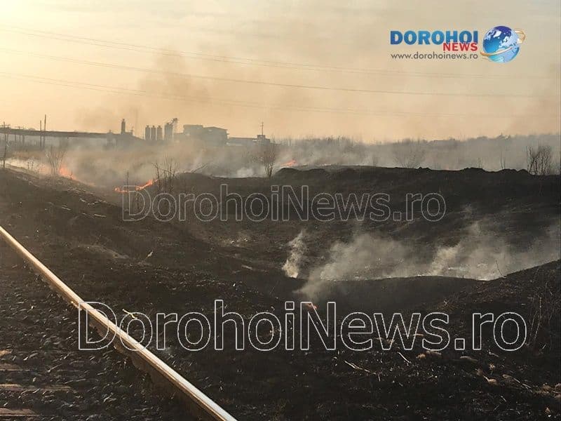 Incendiu vegetatie Dorohoi_12