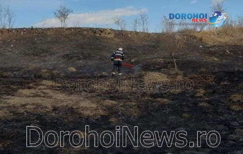 Incendiu vegetatie_01