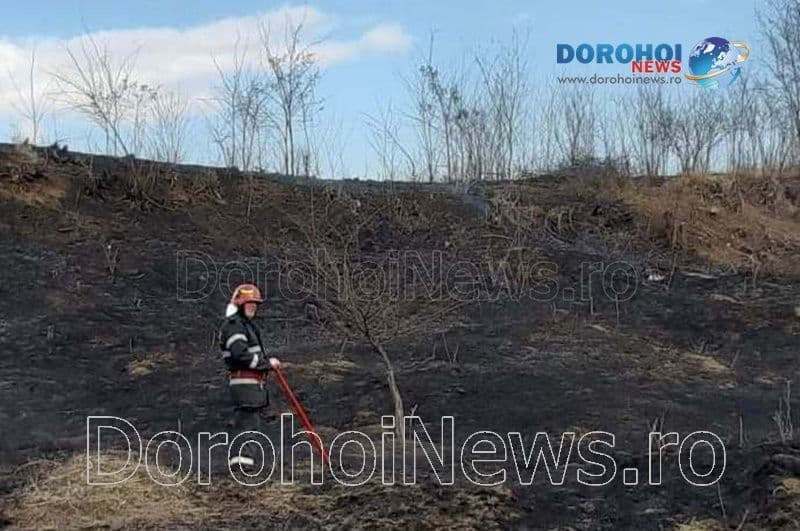 Incendiu vegetatie_02