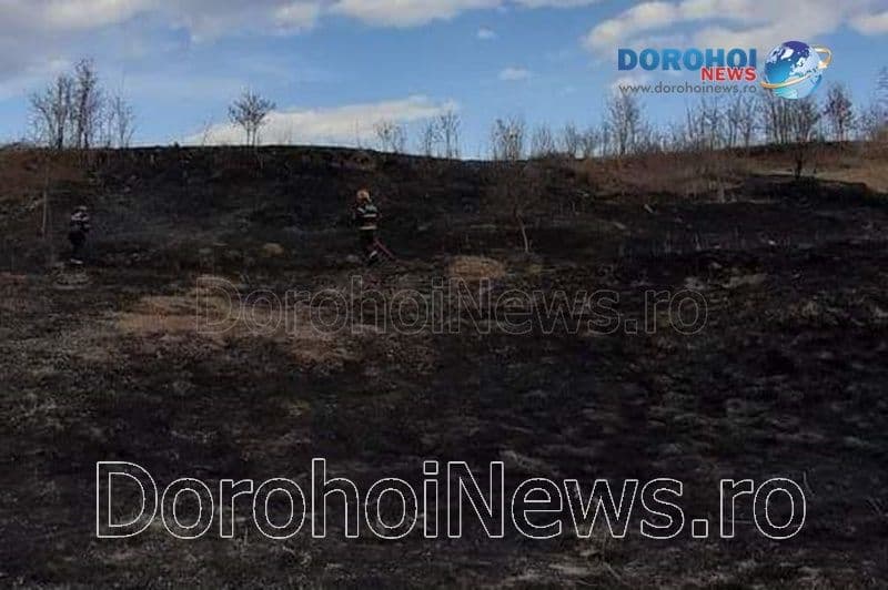 Incendiu vegetatie_03