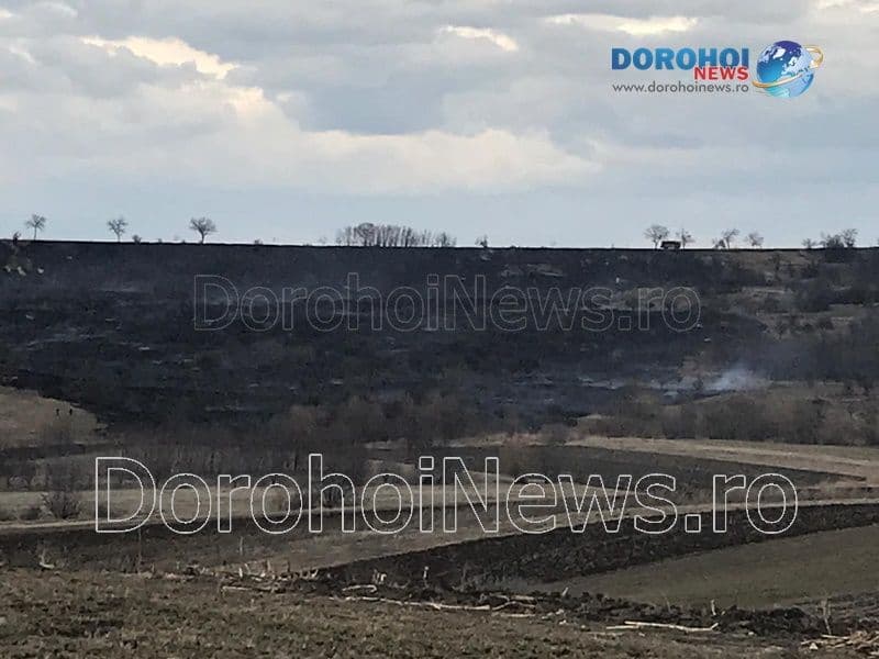 Incendiu vegetatie_04