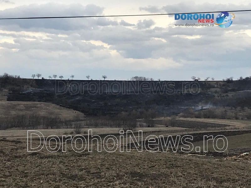 Incendiu vegetatie_05