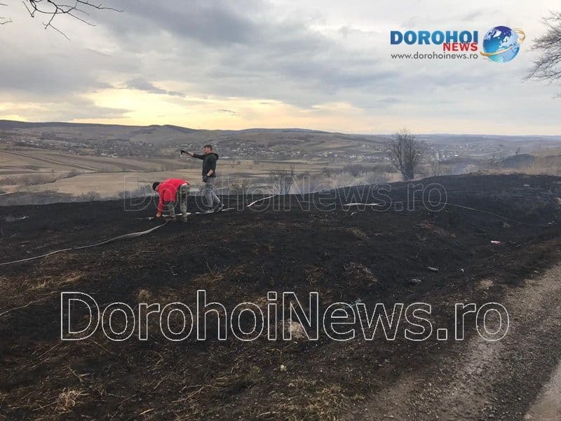 Incendiu vegetatie_06