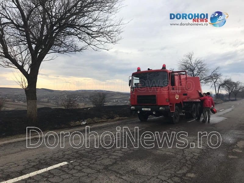Incendiu vegetatie_07