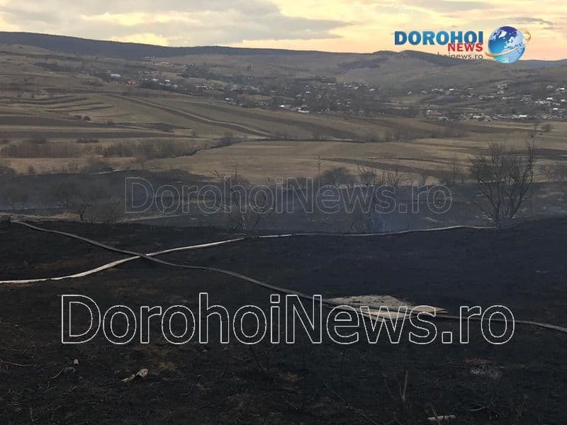 Incendiu vegetatie_08