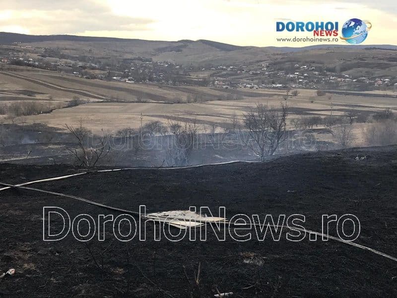 Incendiu vegetatie_09