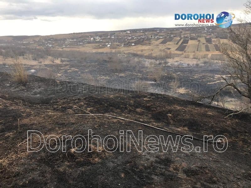 Incendiu vegetatie_11