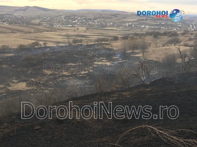 Incendiu vegetatie_12