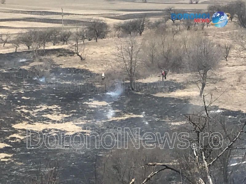 Incendiu vegetatie_13