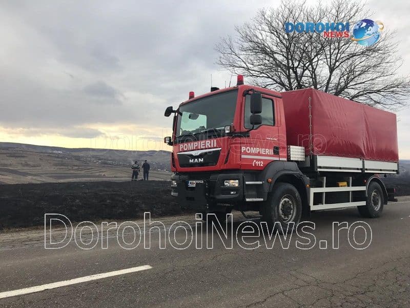 Incendiu vegetatie_16