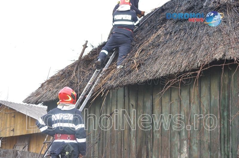 Incendiu Hulubesti - Pomarla_06