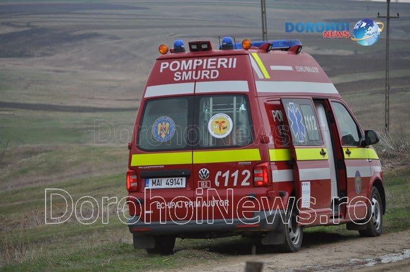 Incendiu Hulubesti - Pomarla_07