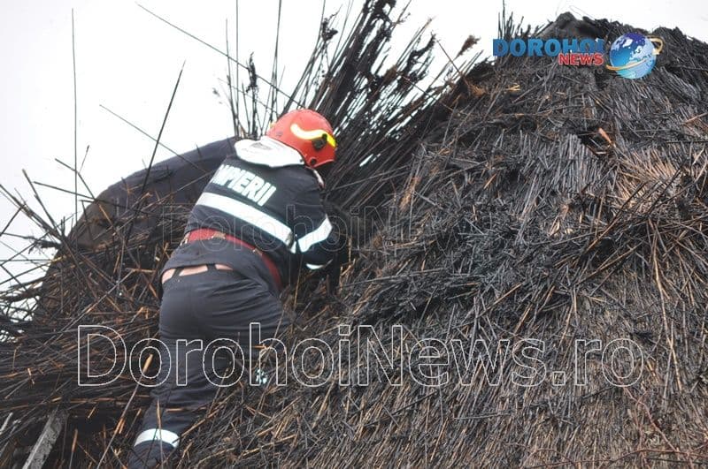 Incendiu Hulubesti - Pomarla_11