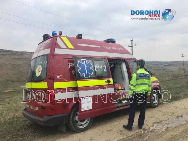 Incendiu Hulubesti - Pomarla_14
