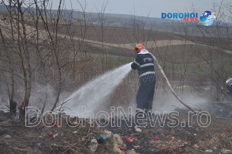 Incendiu Cimitirul Dorohoi_01