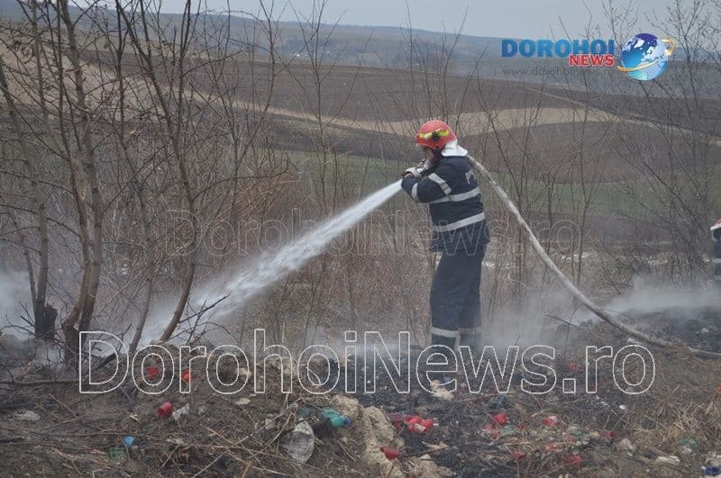 Incendiu Cimitirul Dorohoi_02