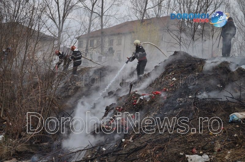 Incendiu Cimitirul Dorohoi_04