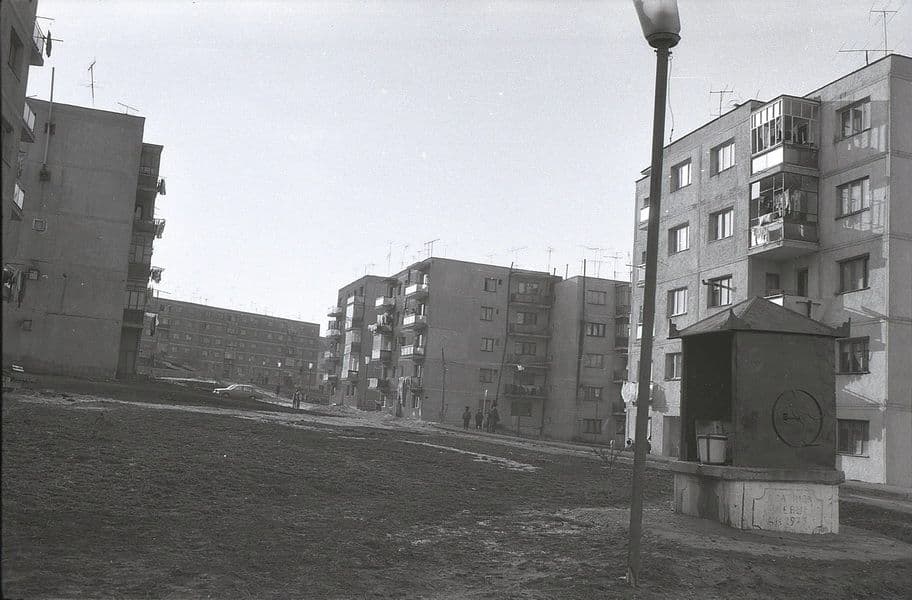 Dorohoi 13