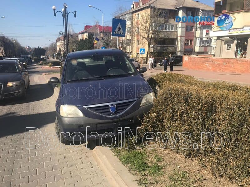 Accident Bulevard_10