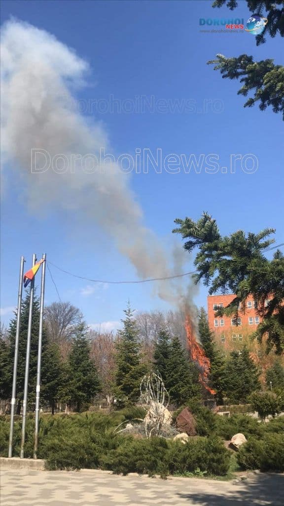 Incendiu Cholet Dorohoi_01