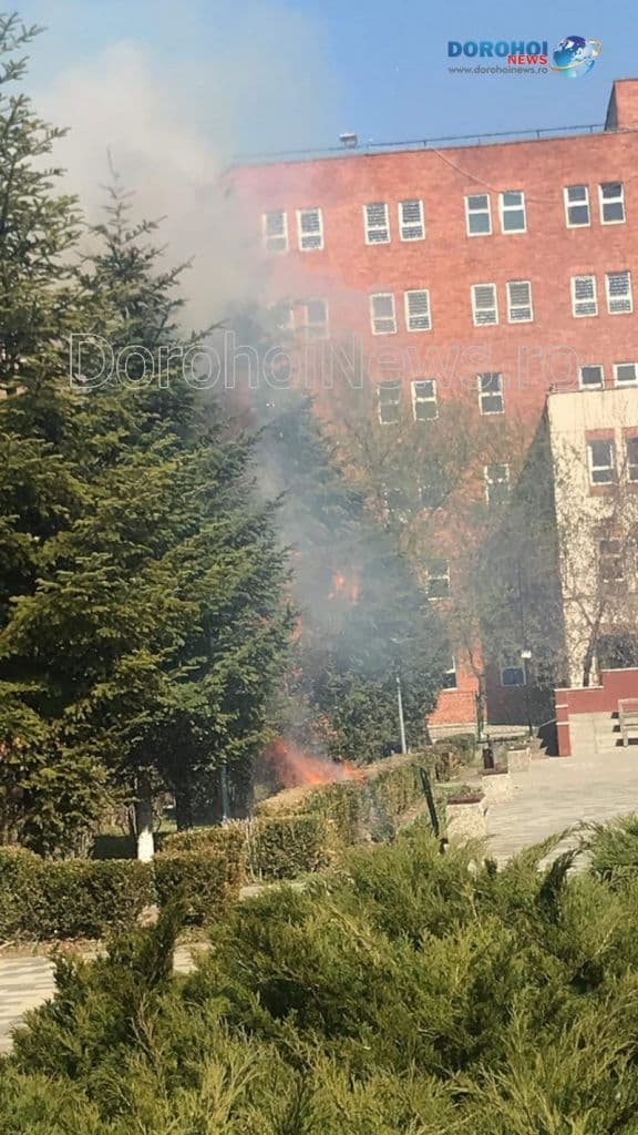 Incendiu Cholet Dorohoi_02