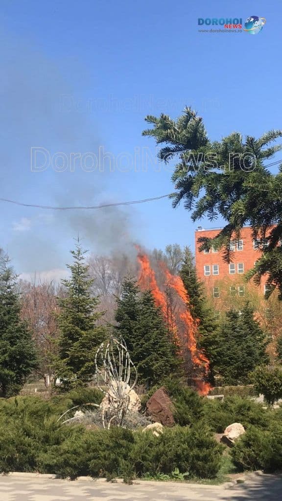 Incendiu Cholet Dorohoi_06