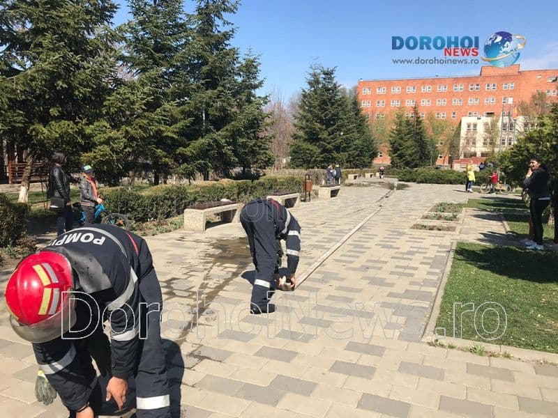 Incendiu Cholet Dorohoi_08
