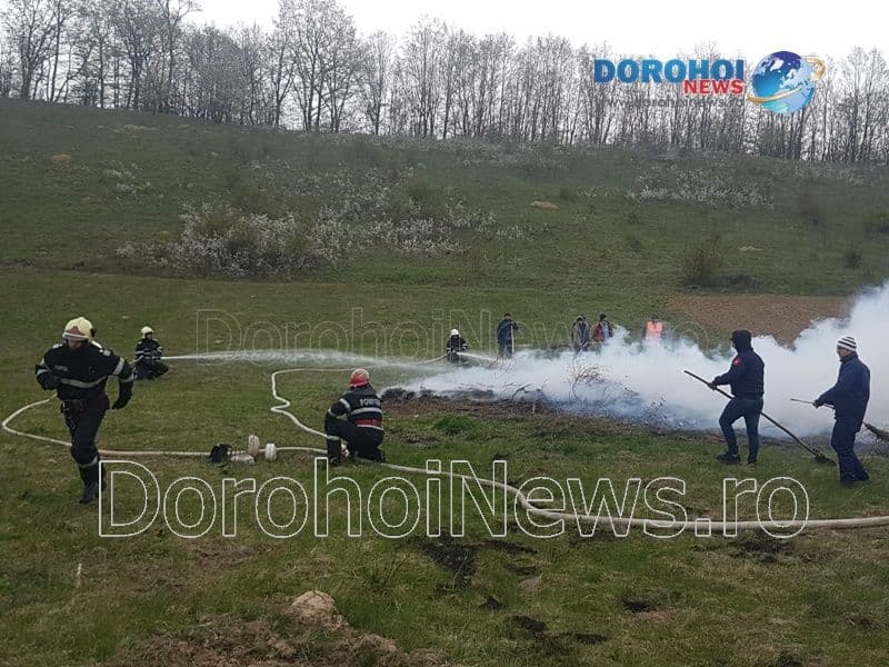 Exercitiu paduri_10
